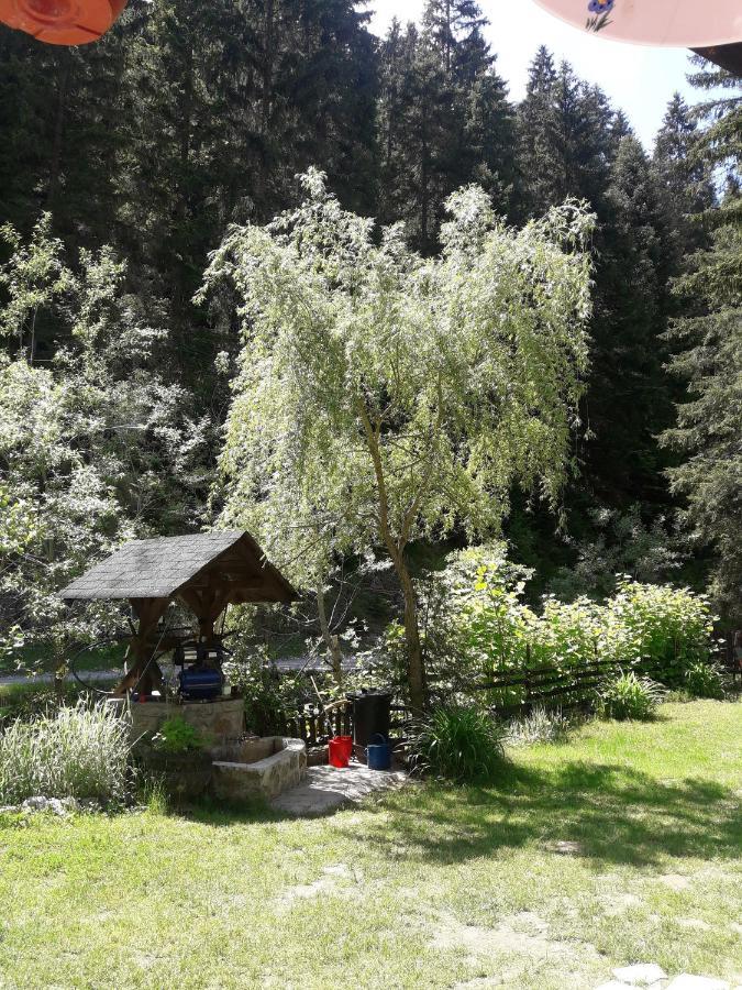 Sastanci-Grahovaca Villa Rozhajë Exteriör bild